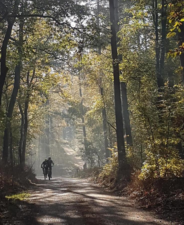 B&B De Loenense Bossen Kültér fotó