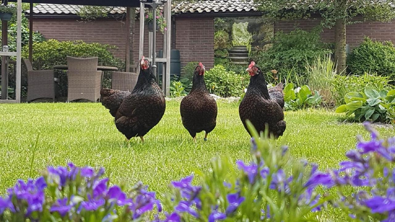 B&B De Loenense Bossen Kültér fotó
